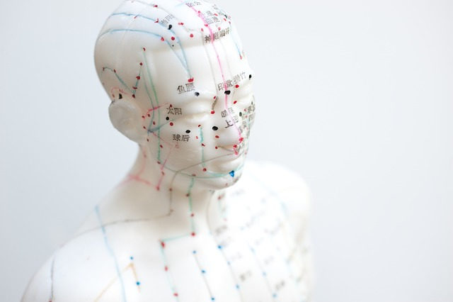 Acupuncture Points