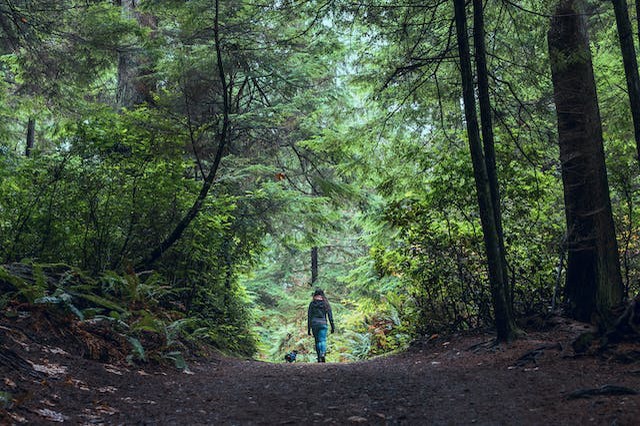 Walking In Nature