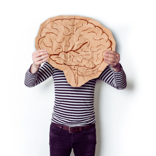 The Brain