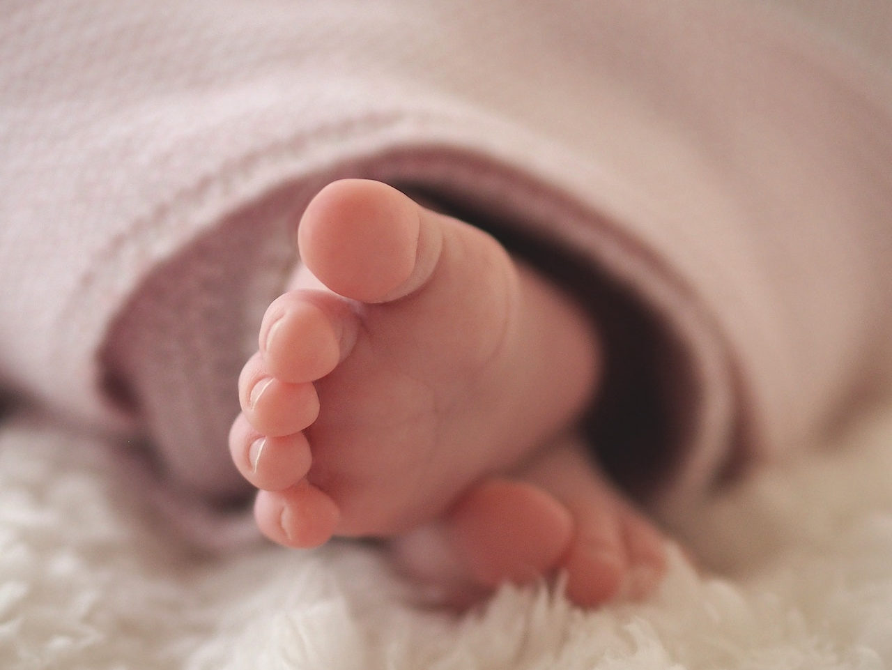 Babies Feet